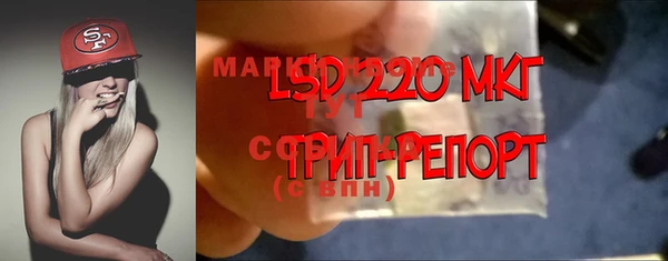 спиды Абаза